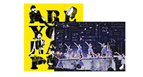 アイドルDVD/BD