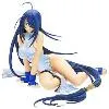 関羽雲長 DVDBOX版チャイナドレスVer. 宮沢模型限定ライトブルーカラー 「一騎当千 Dragon Destiny」 1/7