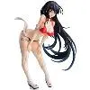 斑鳩-サーキットの女王- 「閃乱カグラNewWave Gバースト」 1/6